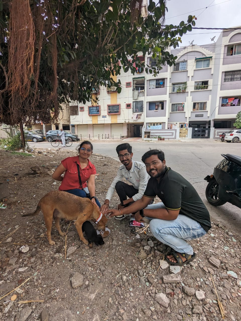 birthday celebration